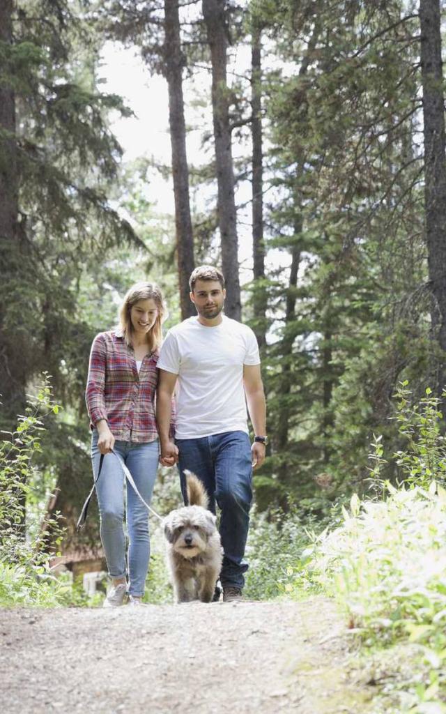 Promenade avec son chien