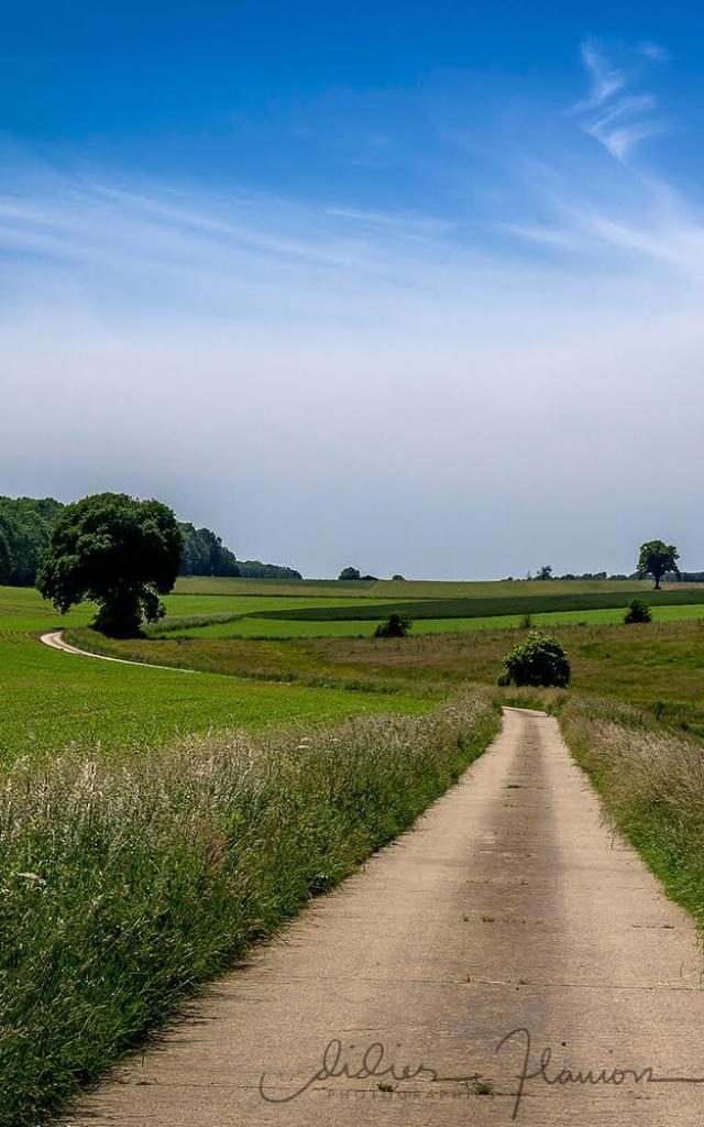 Chemin à Vervoz