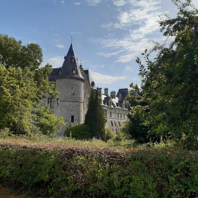 chateau-fallais.jpg