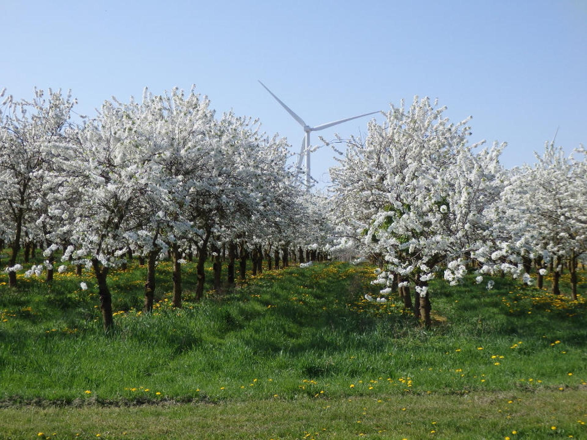 Berloz Maison du Tourisme TerresdeMeuse