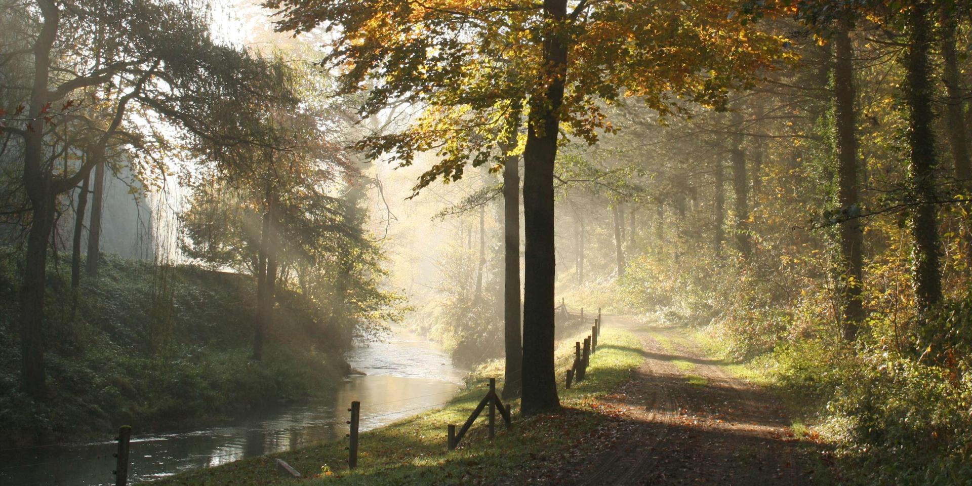 Mehaigne Brume Automne (c) Houbart