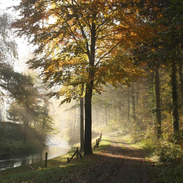 Mehaigne Brume Automne (c) Houbart