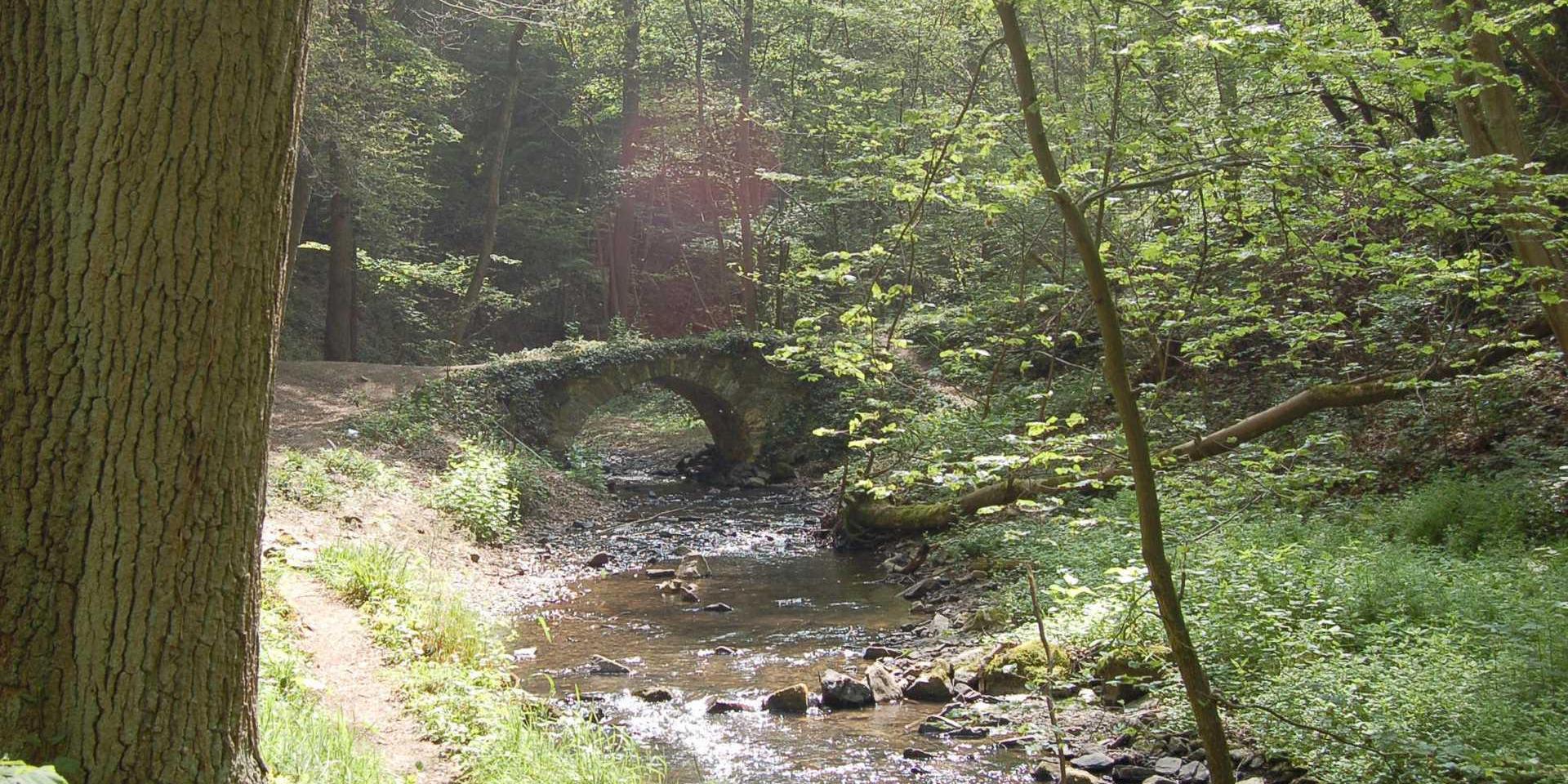 Pont romain Solières