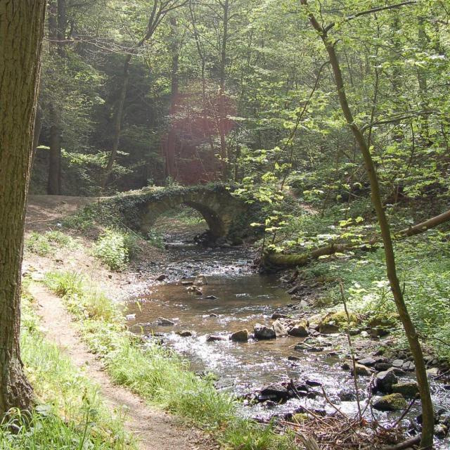 Pont romain Solières