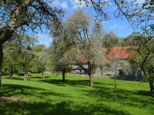 HERON_Lavoir_MoulinFerrieres_verger_Isabelle-Ebroin-1.jpg