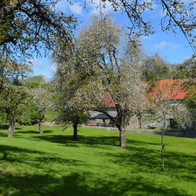 HERON_Lavoir_MoulinFerrieres_verger_Isabelle-Ebroin-1.jpg