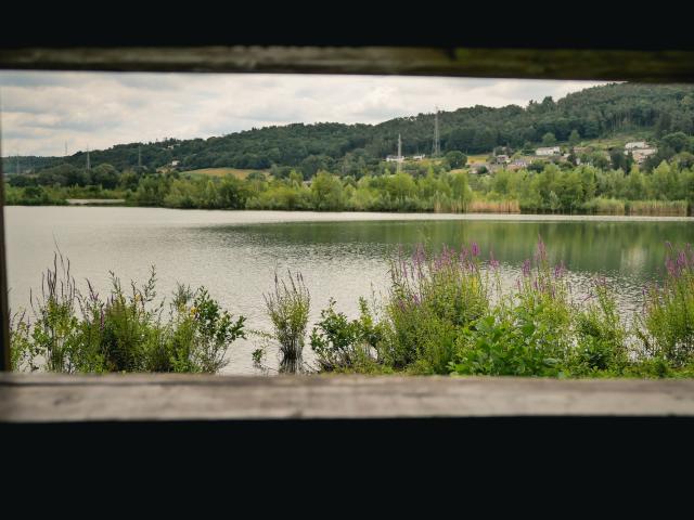 Terres De Meuse La Vallee De La Meuse Huy Reportage Video Trekking Et Voyage 199