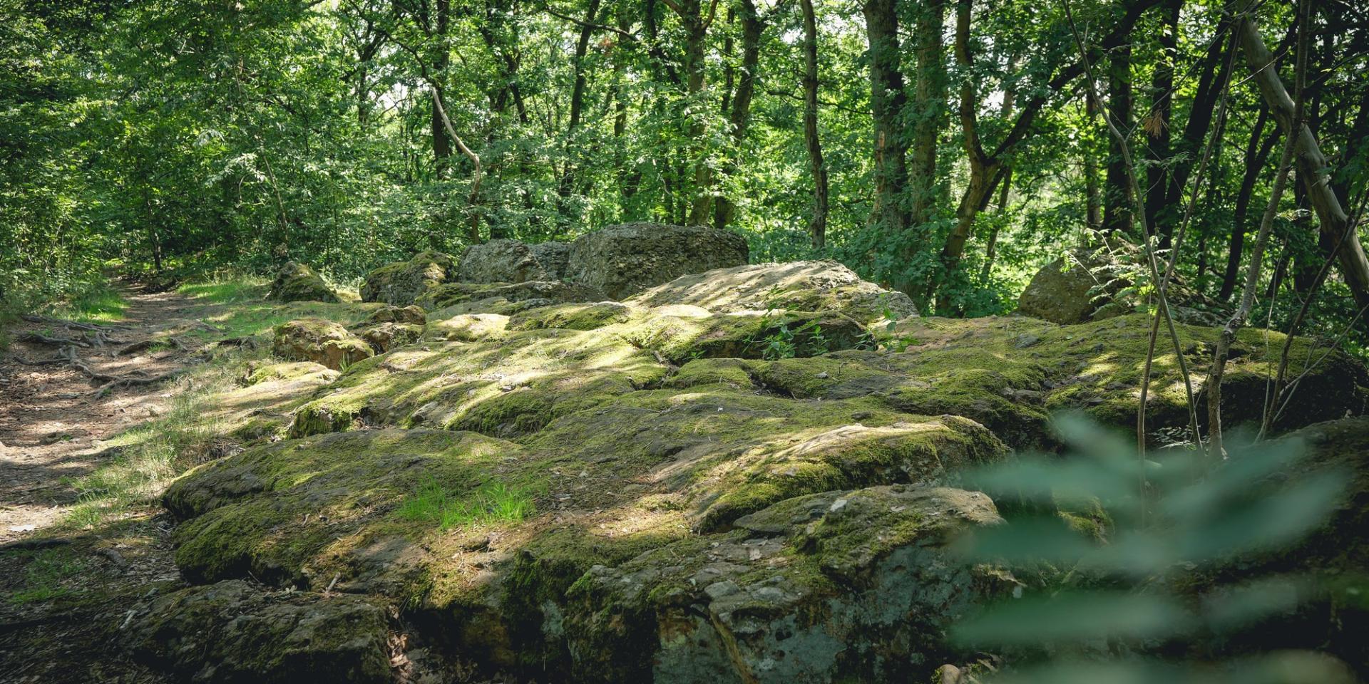 Terres De Meuse La Vallee De La Meuse Huy Reportage Video Trekking Et Voyage 8