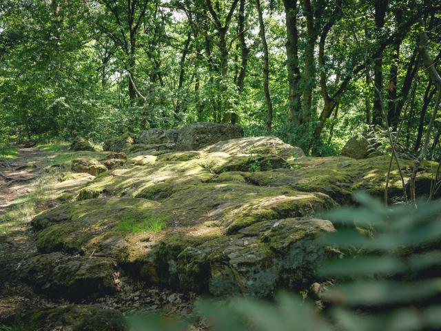 Terres De Meuse La Vallee De La Meuse Huy Reportage Video Trekking Et Voyage 8