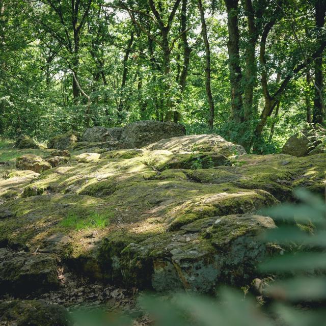 Terres De Meuse La Vallee De La Meuse Huy Reportage Video Trekking Et Voyage 8