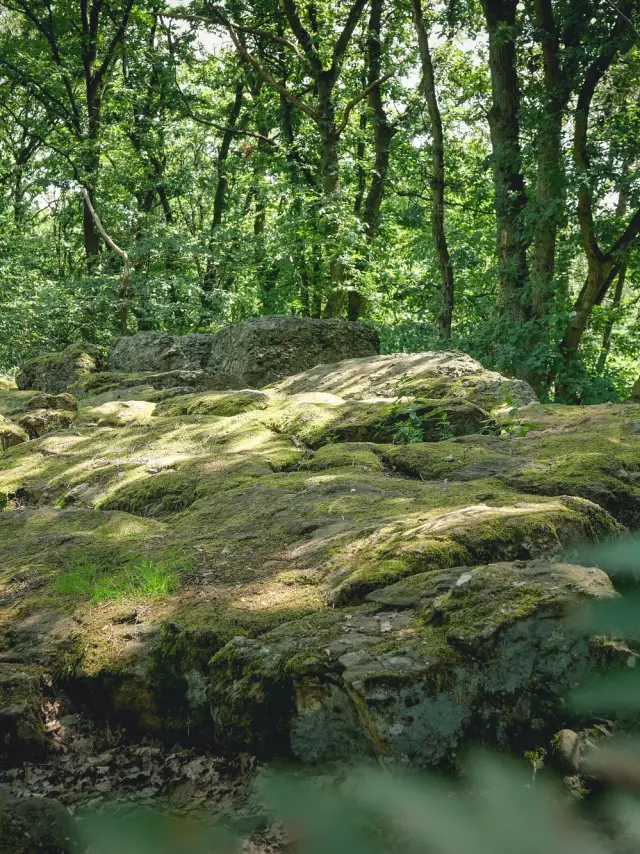 Terres De Meuse La Vallee De La Meuse Huy Reportage Video Trekking Et Voyage 8