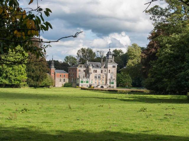 soheit2017_chateau_de_tinlot_depuis_route_condroz_0.jpg