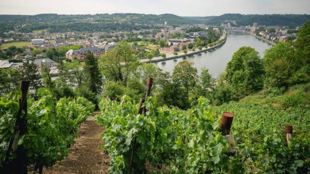 Terres De Meuse La Vallee De La Meuse Huy Reportage Video Trekking Et Voyage 102 1320x880 1