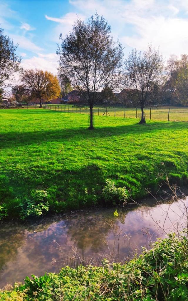 Réserve naturelle d'Hollogne-sur-Geer