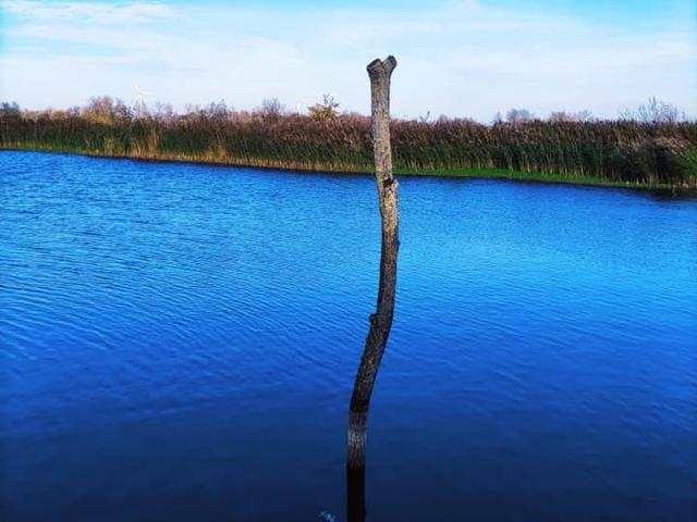 Réserve naturelle d'Hollogne-sur-Geer