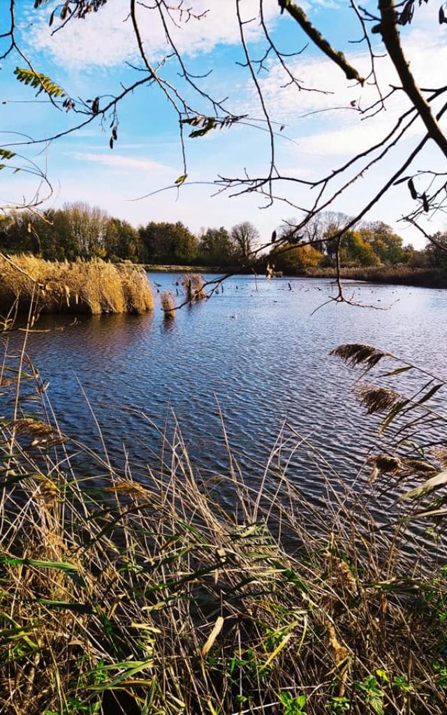 Réserve naturelle d'Hollogne-sur-Geer