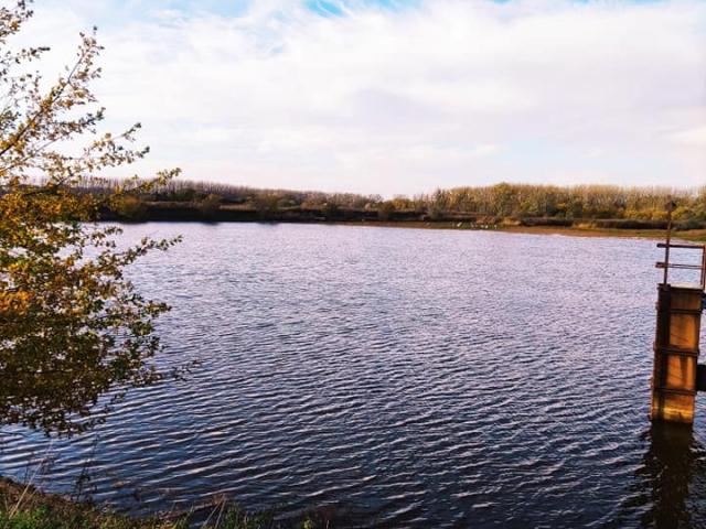 Réserve naturelle d'Hollogne-sur-Geer