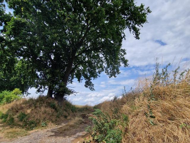 Balade du Tram - Donceel