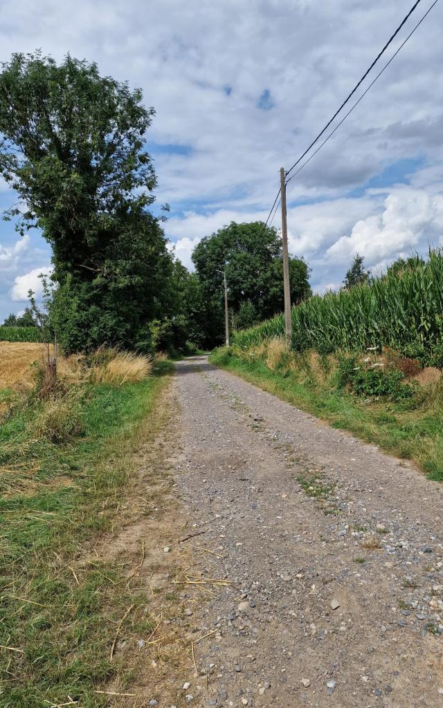 Balade du Tram - Donceel