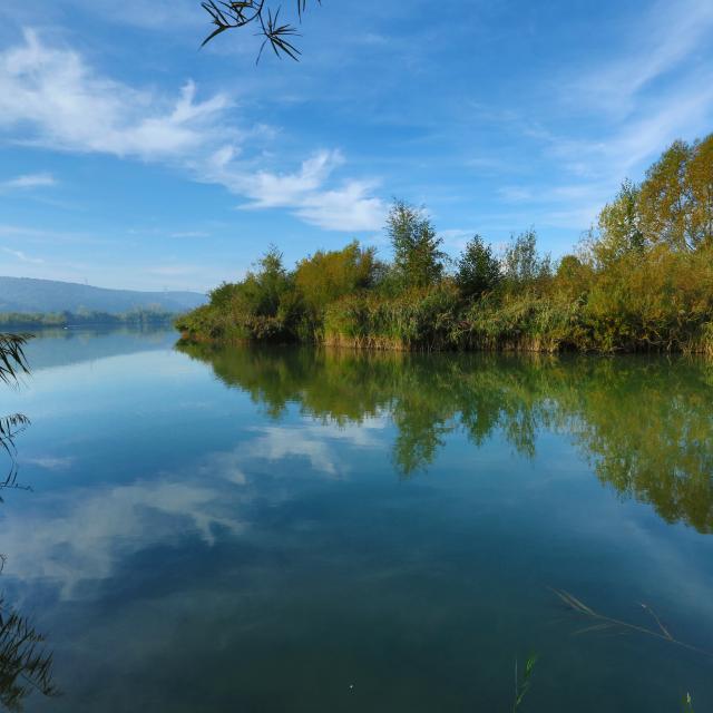 Amay Lac De La Graviere