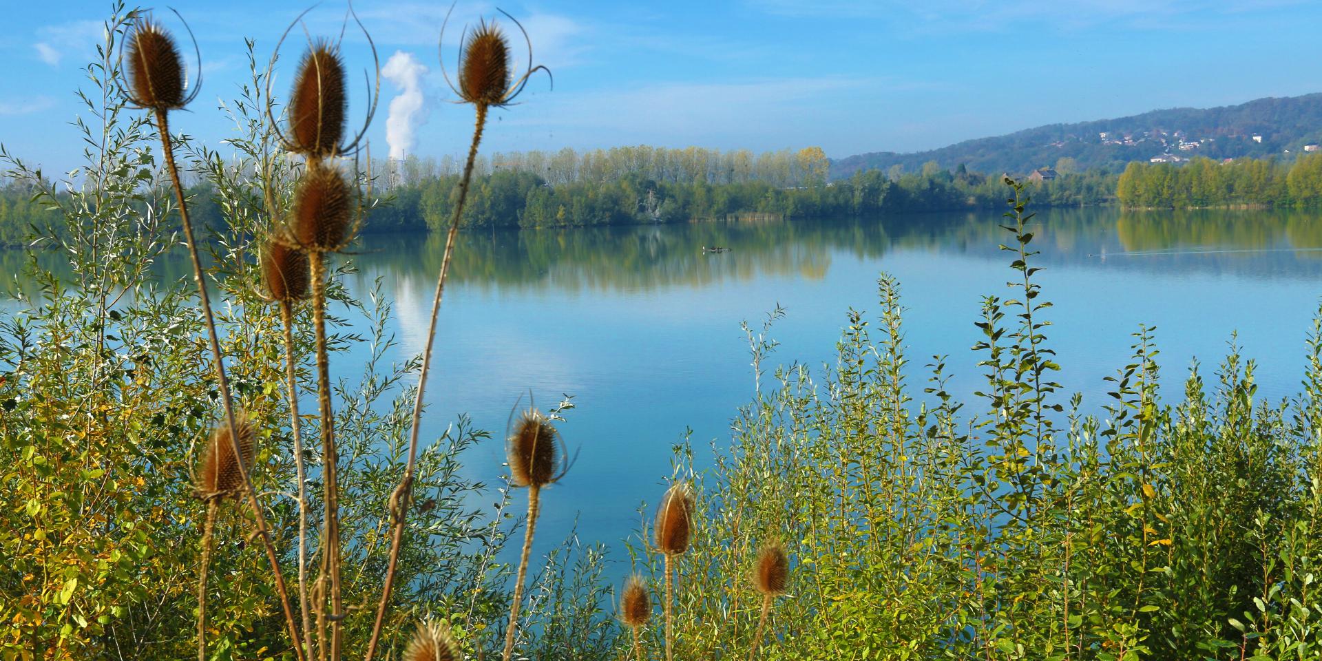 Lac de la Graviere - Amay