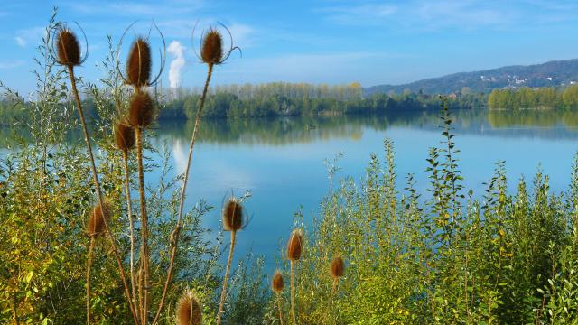 Lac de la Graviere - Amay