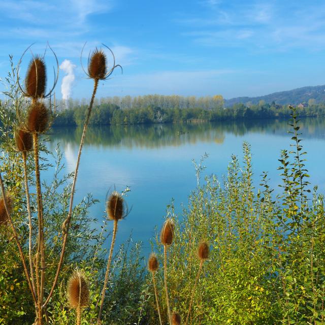 Lac de la Graviere - Amay