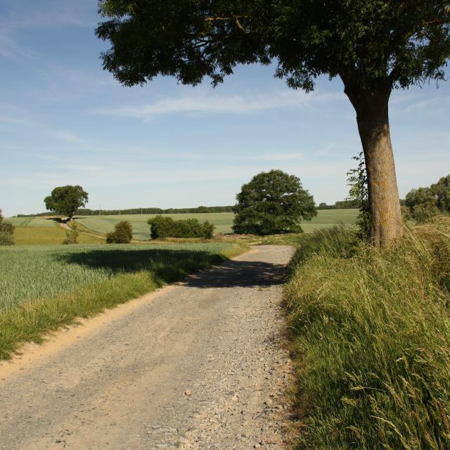 Promenade de la Dîme Héron