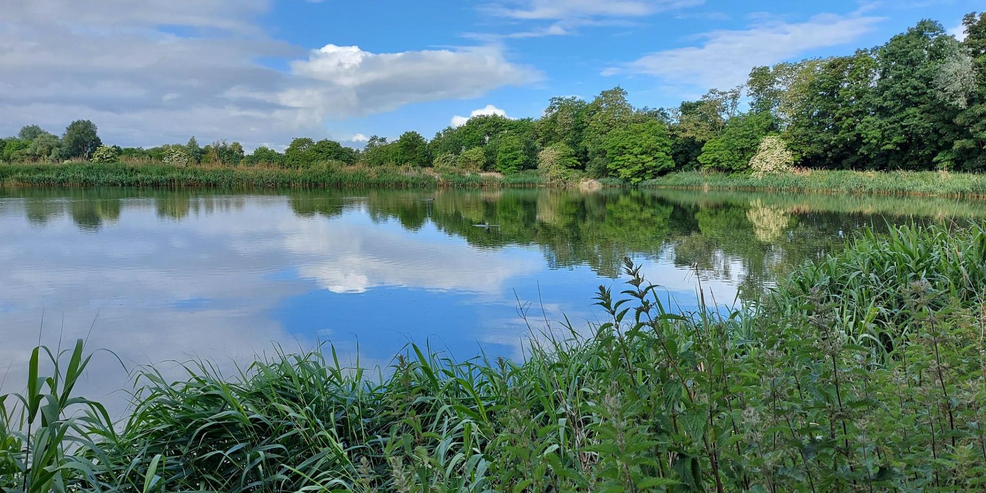 Réserve naturelle d'Hollogne-sur-Geer