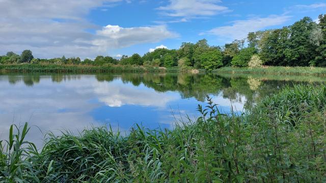 Réserve naturelle d'Hollogne-sur-Geer