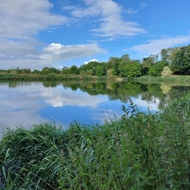 Réserve naturelle d'Hollogne-sur-Geer