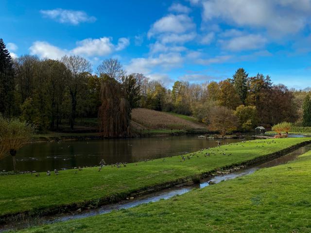 Saint-Fontaine et les étangs