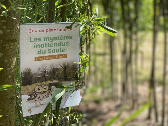 Parcours Du Saule Braives