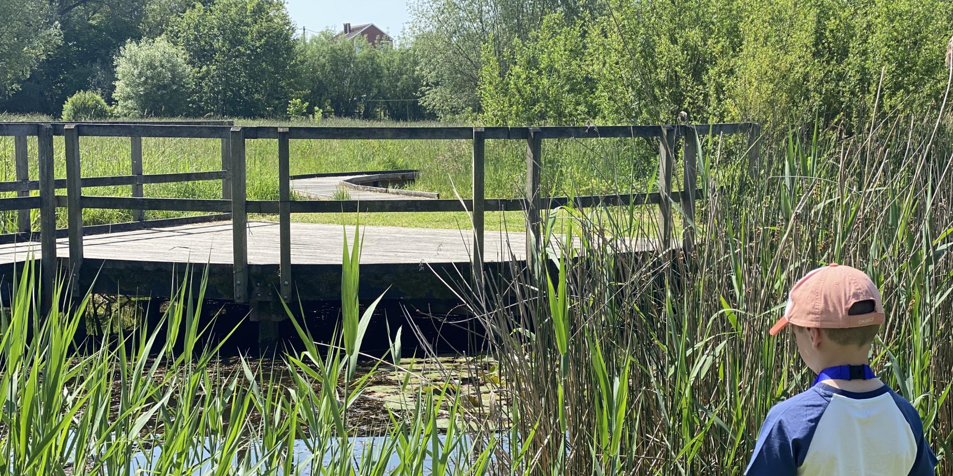 Parcours Du Saule Braives