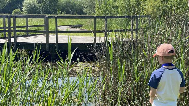 Parcours Du Saule Braives