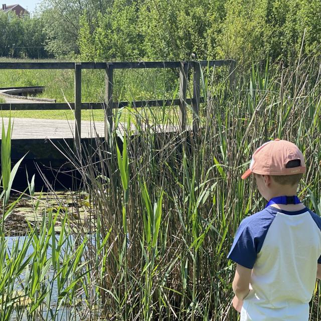 Parcours Du Saule Braives