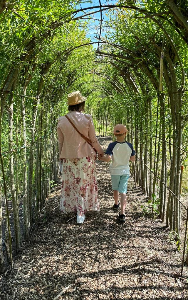 Parcours Du Saule Braives