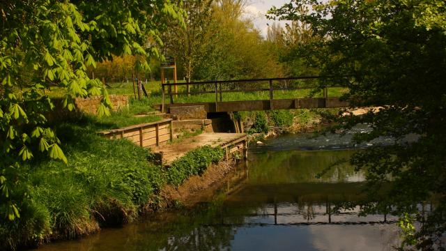 Sources Pont De La Solive Hannut