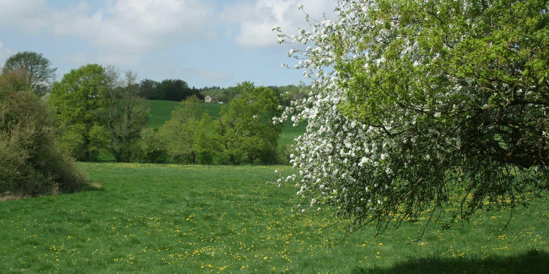 Balade à moha - Bocage d'antheit