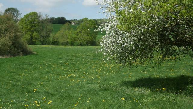 Balade à moha - Bocage d'antheit