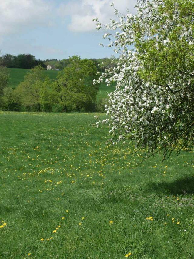 Balade à moha - Bocage d'antheit