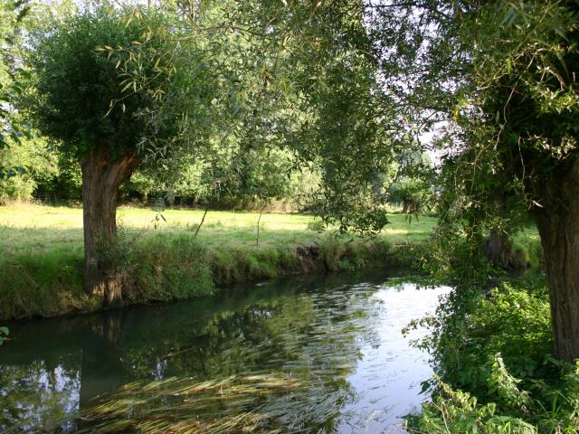 Sentier De La Mouhagne Hannut