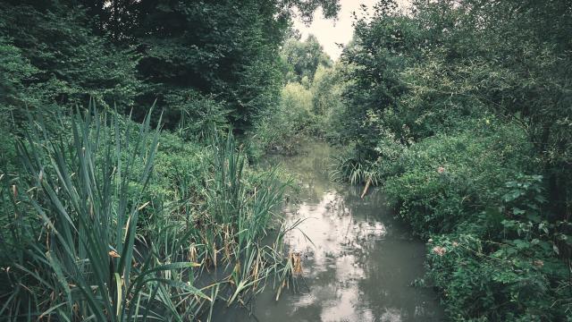 Promenade Wachnet