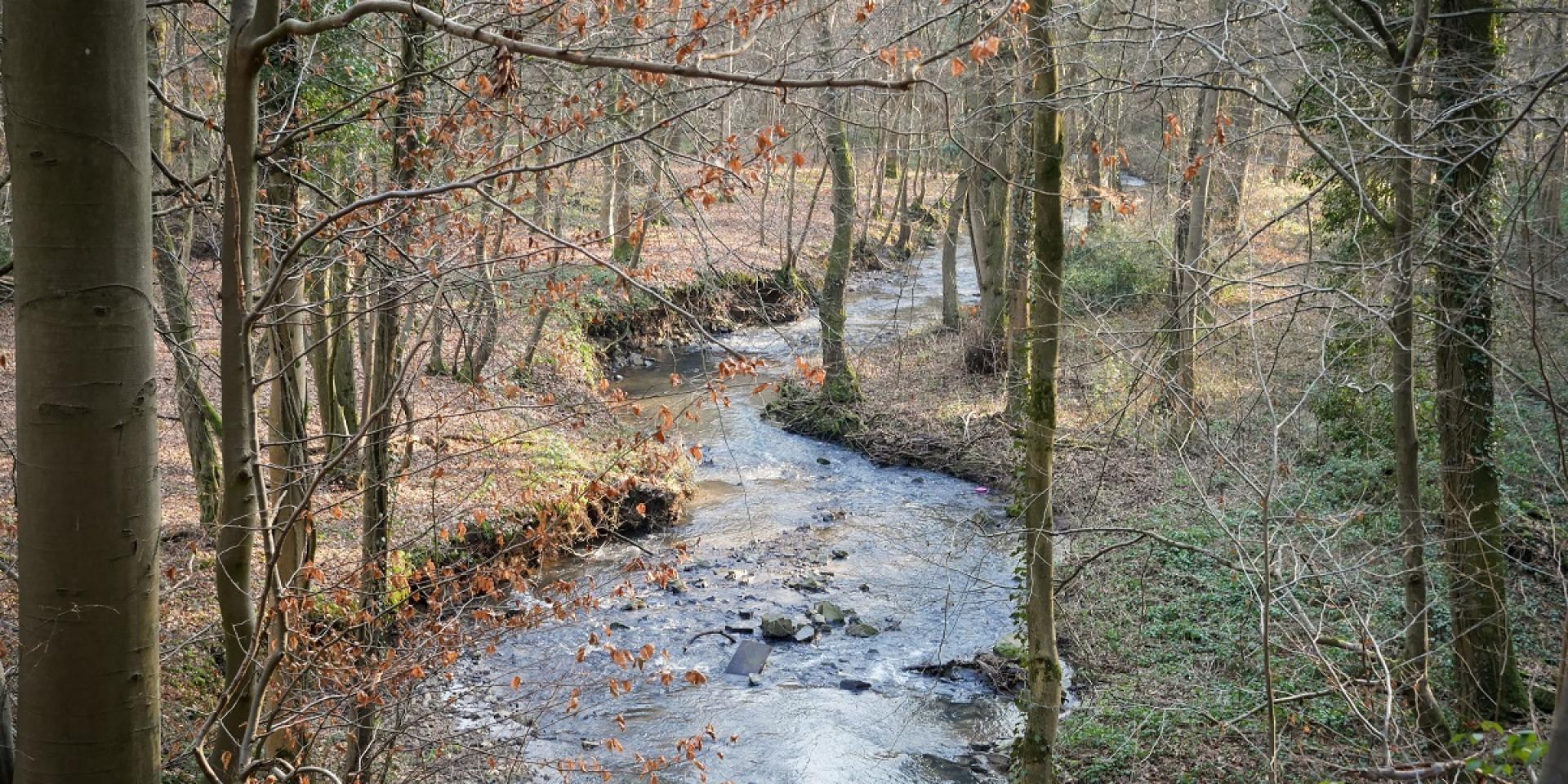 Fond d'Oxhe - Nandrin