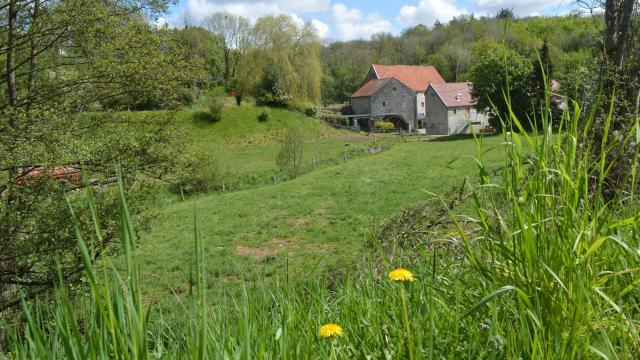 Heron Lavoir Moulin ferrieres Prairie