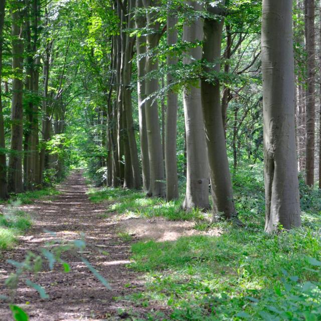 Vallée de la Solières