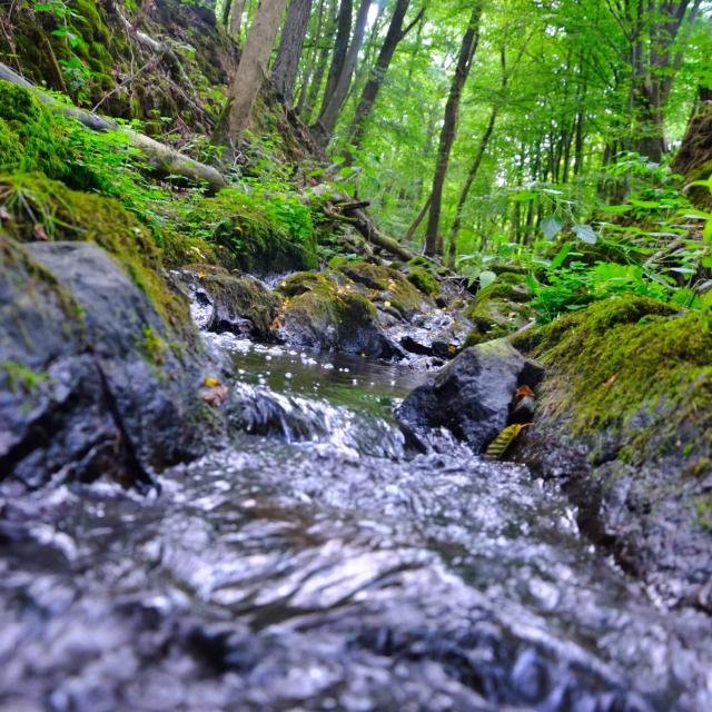 Vallée de la Solières