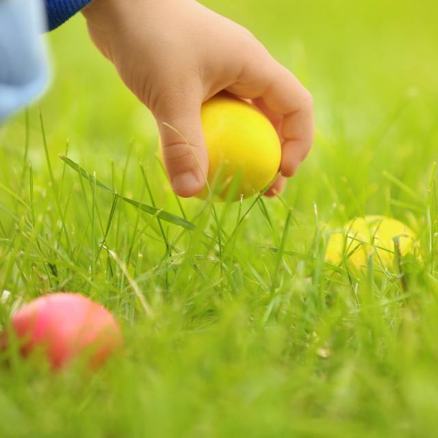 Chasse aux oeufs - Pâques