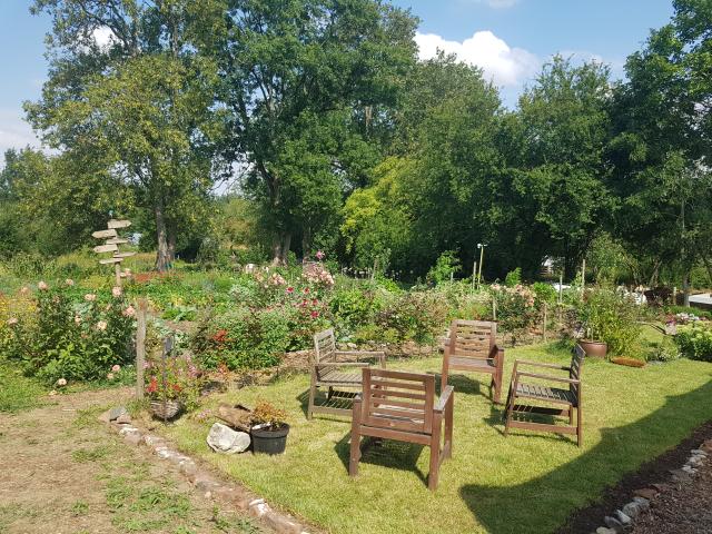 Ciplet Ferme 3 Moutons Jardin Mt Tdm