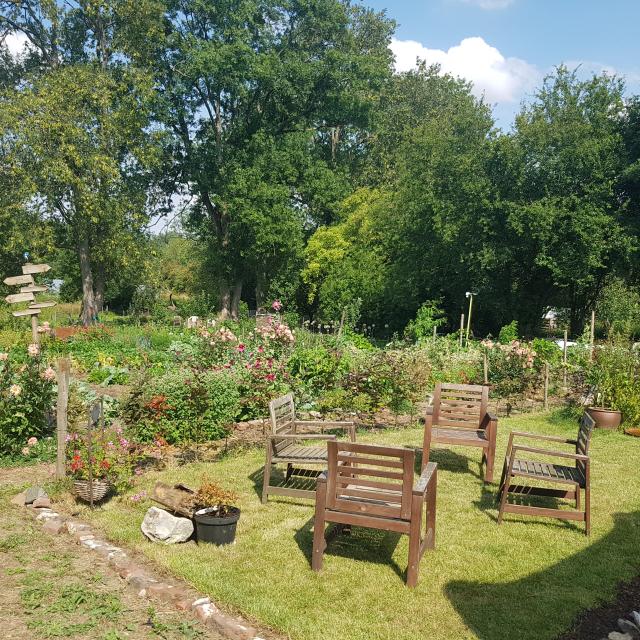 Ciplet Ferme 3 Moutons Jardin Mt Tdm